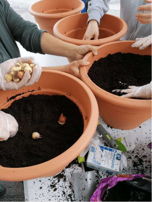 A family planting day organised by York Travellers Trust early in October