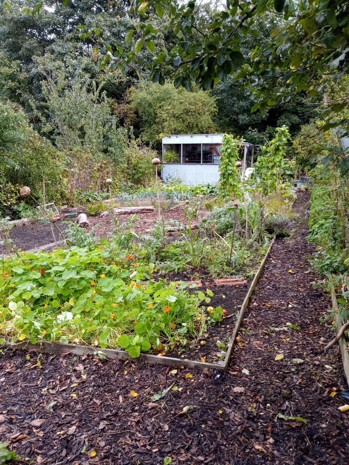 The YUMI community allotment