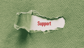 Information about Support Services operating over the Festive Season in York