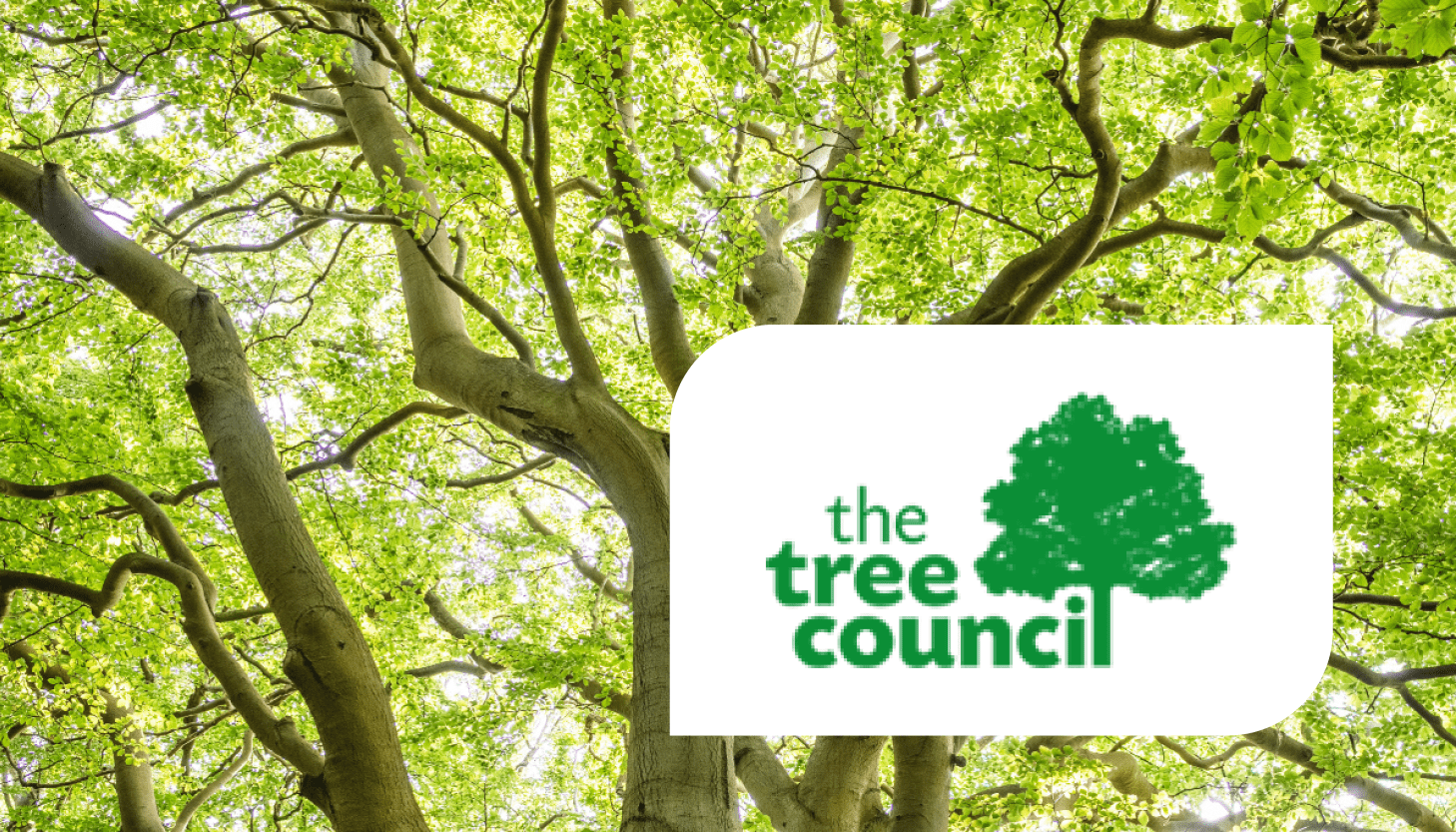 Branching Out – Closing date 3 December