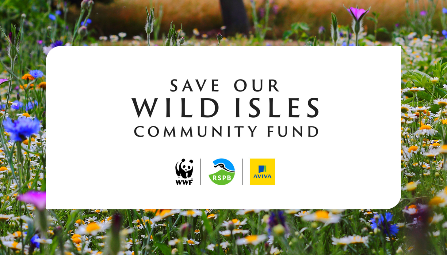 MATCH FUNDING: Save Our Wild Isles Community Fund – Closing date: Ongoing