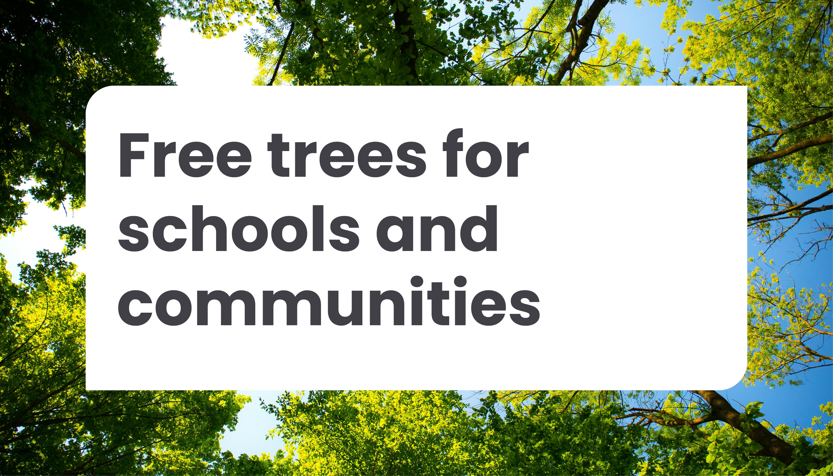 Create a greener space in your community with free trees from The Woodland Trust