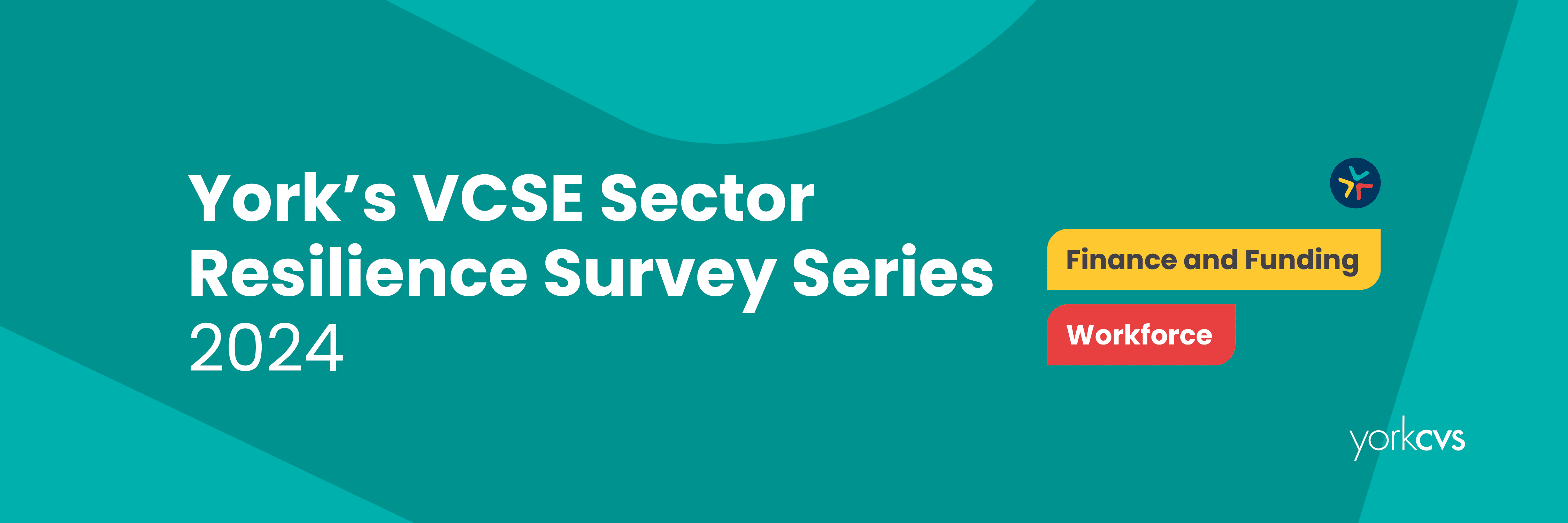 Sector Survey Website Banner Decorative background - text reads York's VCSE Sector Resilience Survey 2024