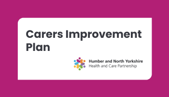 Invitation to Participate in a Carers Improvement Plan Task and Finish Group 