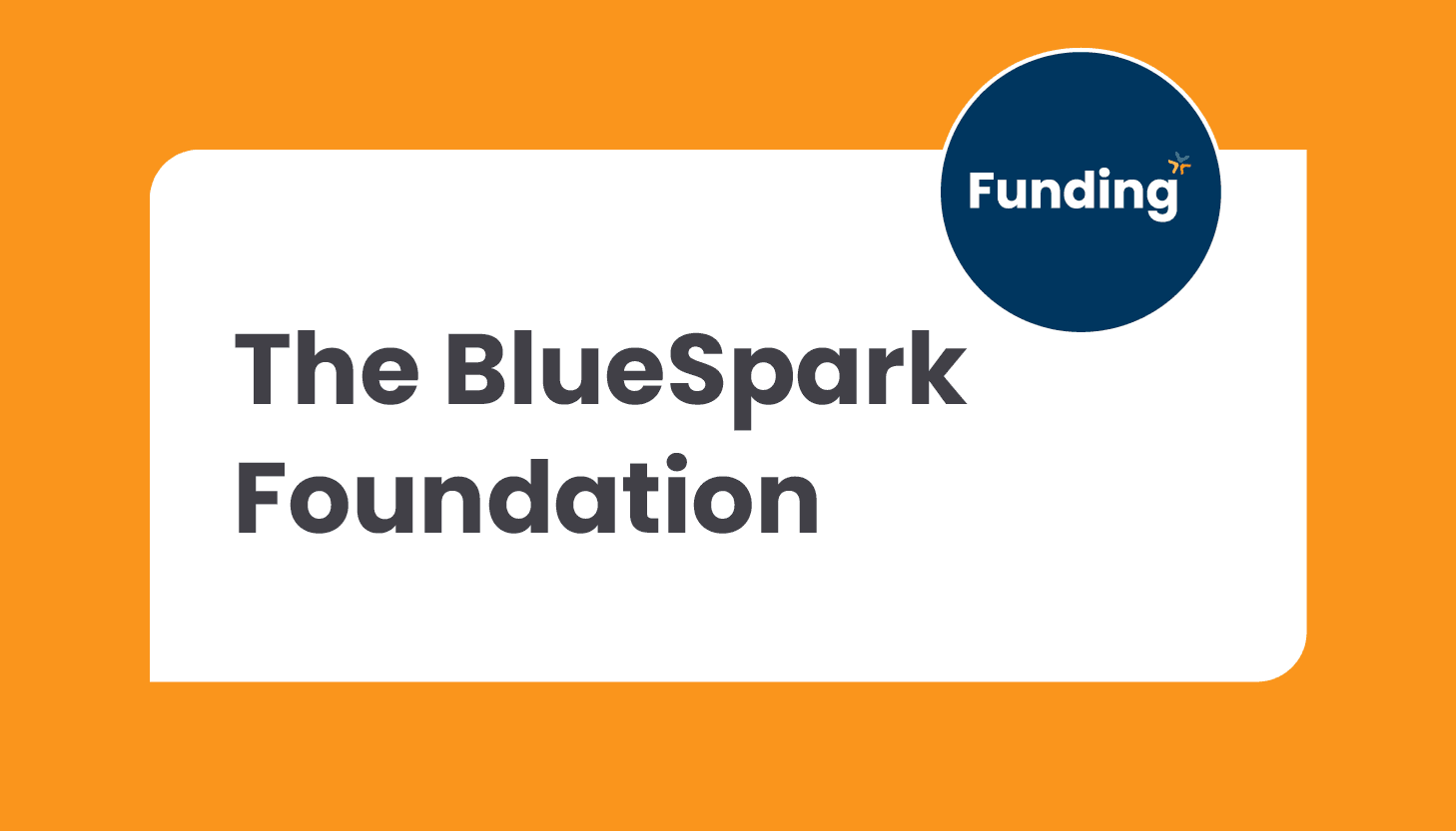 The BlueSpark Foundation: Closing date – Ongoing