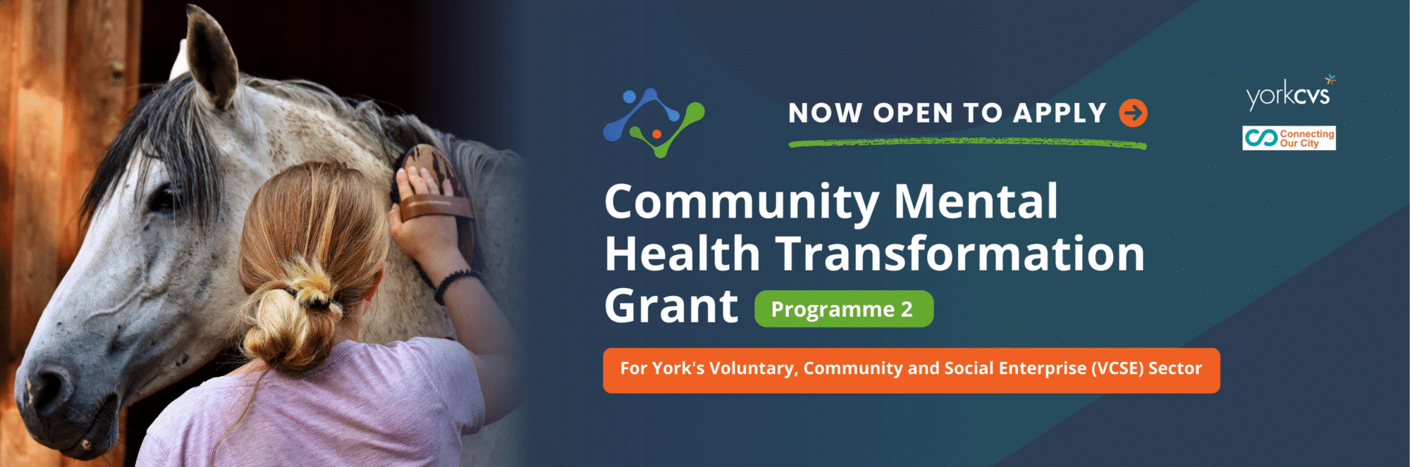 1 Person grooming a white horse inside a stable, promoting York CVS's Community Mental Health Transformation Grant Programme 2.