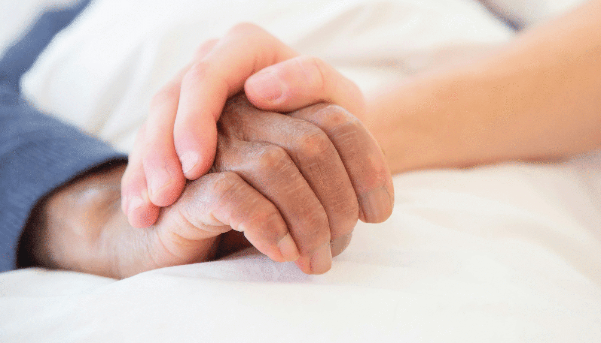 Hospice Care Week – Learn more about St Leonard’s free specialist support