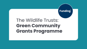 There is a dark teal background and white text box. The text reads: The wildlife trusts green community Grants Programme.