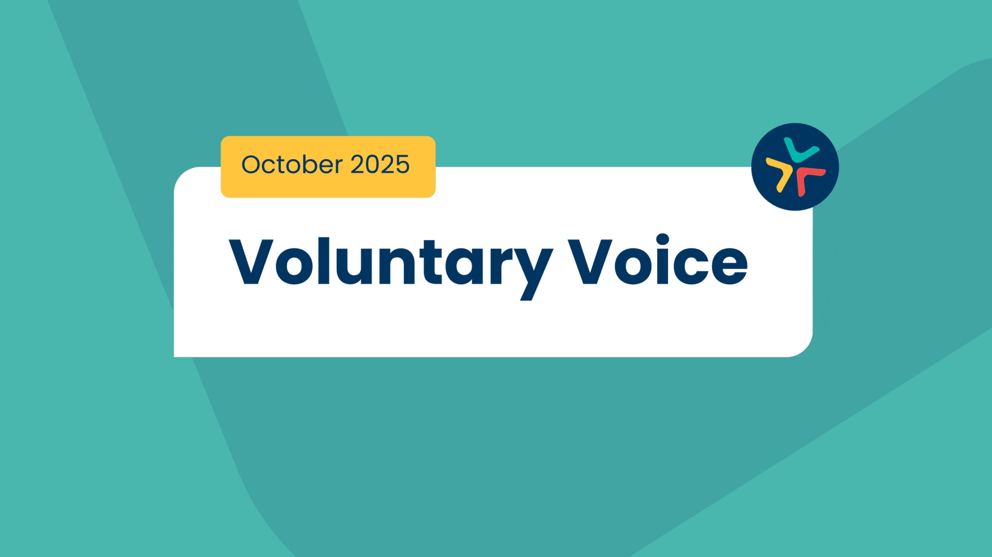 Read our latest Voluntary Voice e-bulletin packed with updates and resources