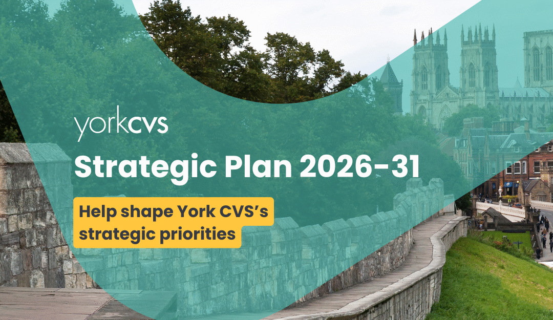 Help shape York CVS’s Strategic Plan for the next 5 years