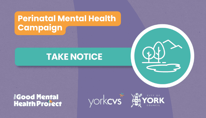 Day 3: Take Notice – Why taking notice matters for Perinatal Mental Health